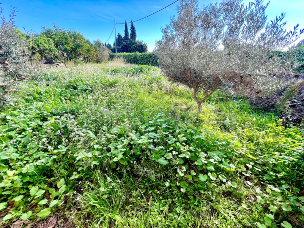 Villa rustica reformada en Jávea cerca de la playa del arenal - 14