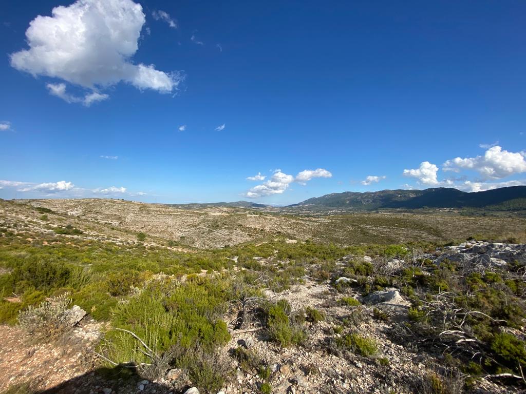 Se vende Terreno/Coto de Caza en Bocairente - 3