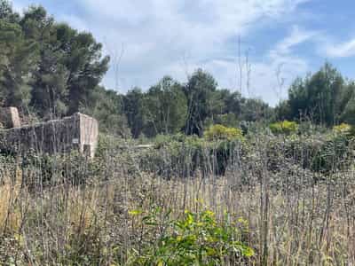 Property R4622824