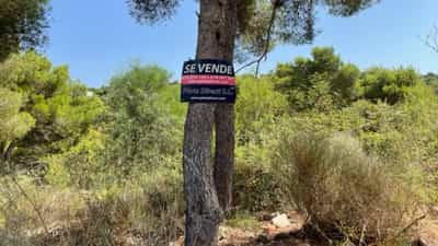 Property #AD 222 1