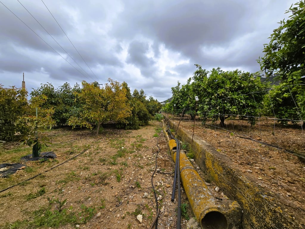 Property #RH20383 - 6