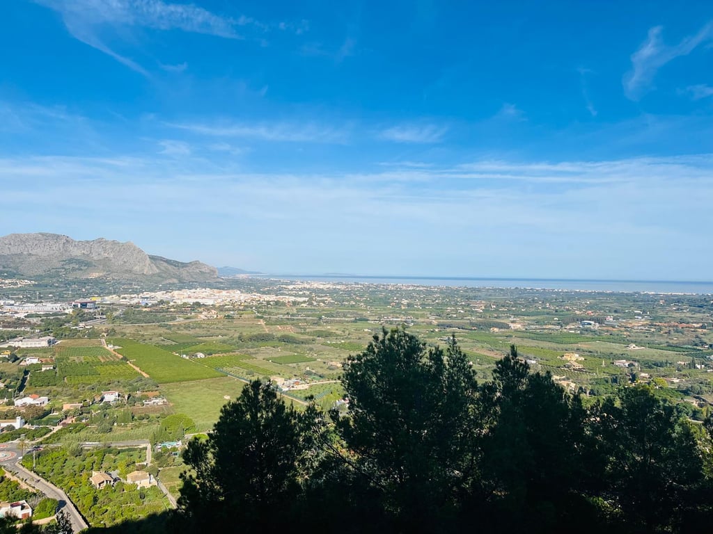 Villa in Pedreguer photo 5