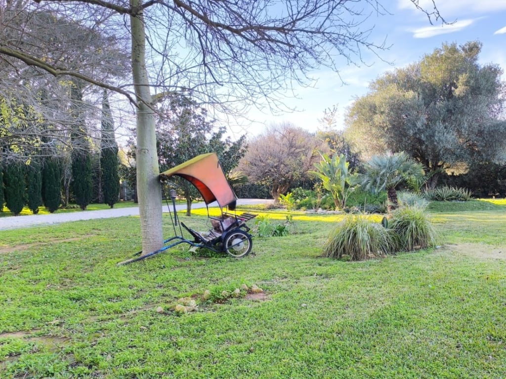 Vila en venda a Ondara amb gran parcel·la planera i dos habitatges independents - 6