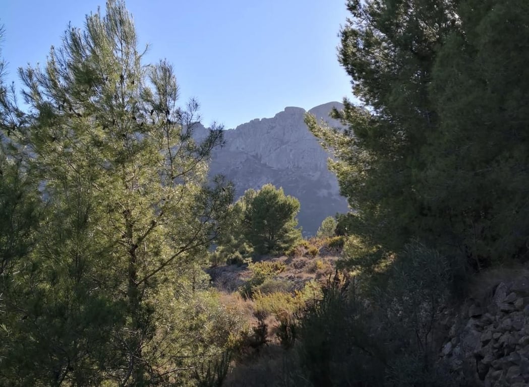 Property #RH20571 - 16