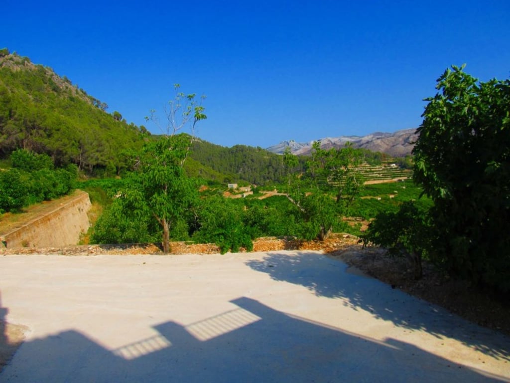 Finca amb plantacion d' alvocats a Forna - 29