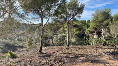 Property #AD 222