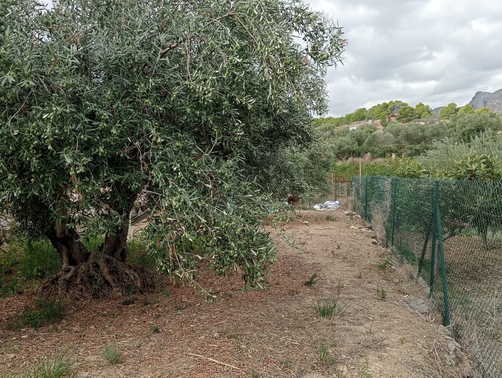 Property #RH20408 - 17