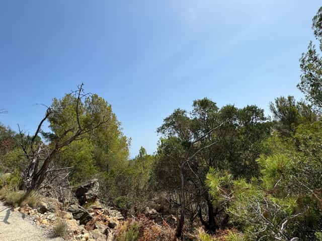 Grundstück in Dénia, 230m²