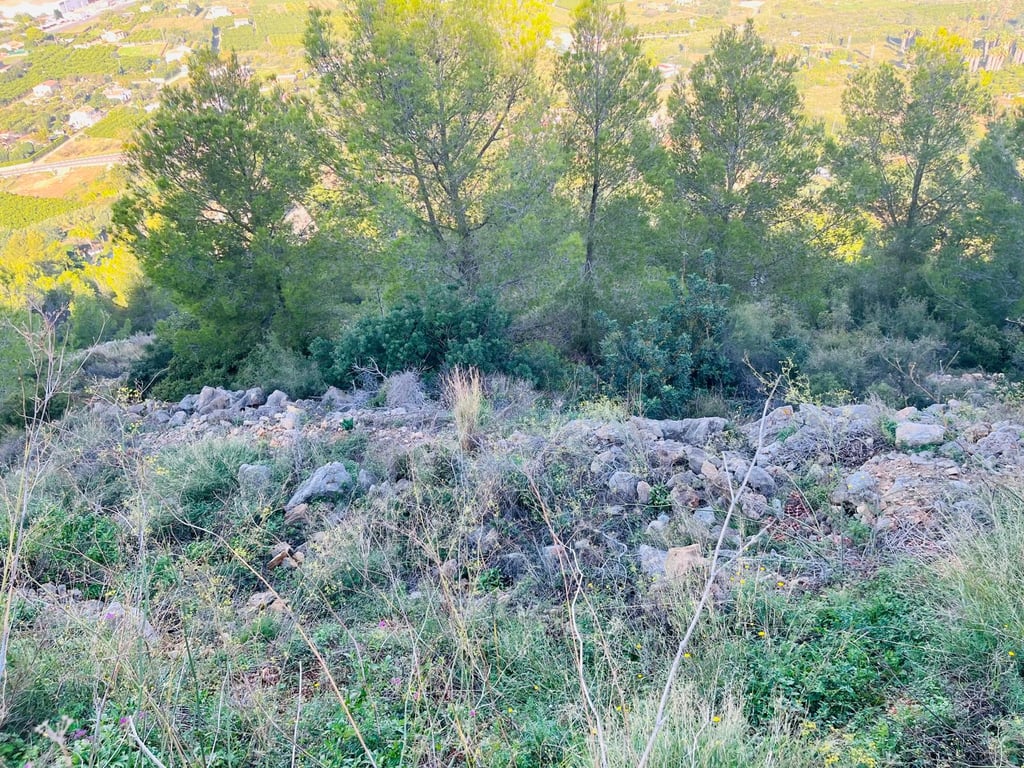 Villa in Pedreguer photo 9