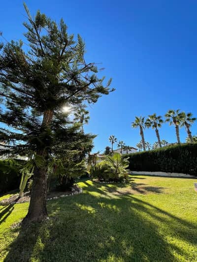 Property #TSR1801C - Image 5