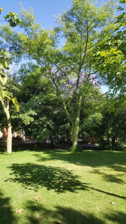 Ondara. Finca amplia en venta - 10