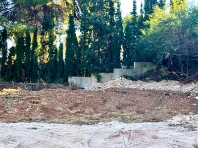 Property #TSR1281C - Image 5