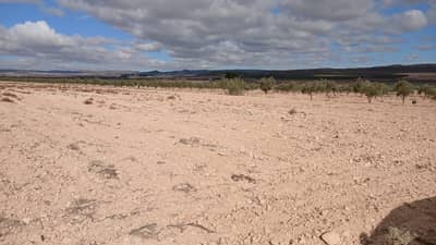 Property #TSR1640C - Image 3