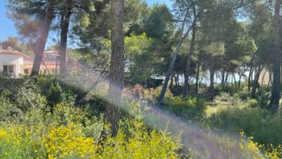 Property #TRA5213 - Image 2