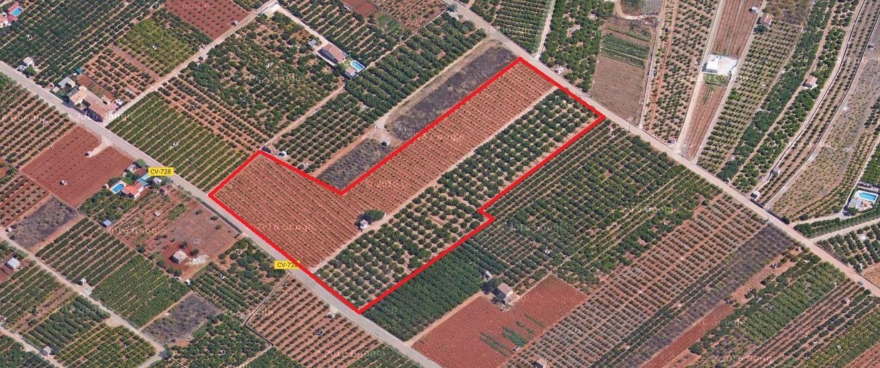 Terreny rústic de 22.000 metres quadrats a Pego - 2