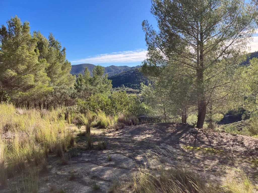 Casita de campo en Pedreguer - 11