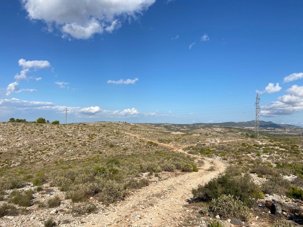 Se vende Terreno/Coto de Caza en Bocairente - 14