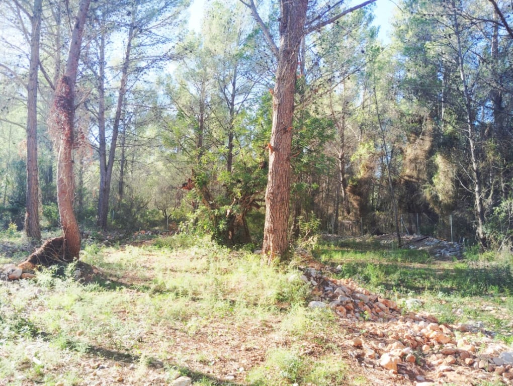 Casa de camp reformada a Parcent: tranquil·litat, parcel·la tancada, natura i confort en un entorn privilegiat. - 21