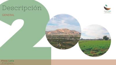 Property #TSR3008C - Image 5