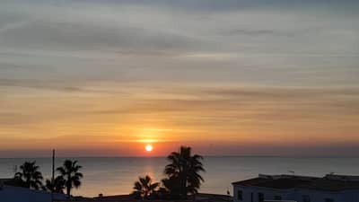 Property #TSR1798C - Image 4