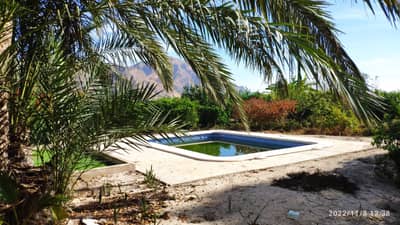 Property #TSR3409C - Image 3