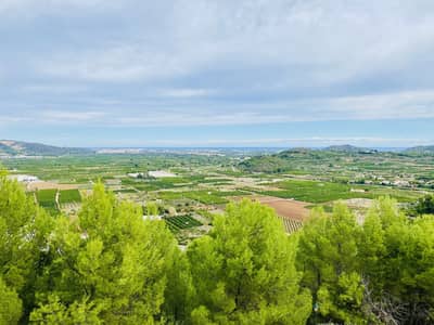 Property #TSR1257C - Image 4