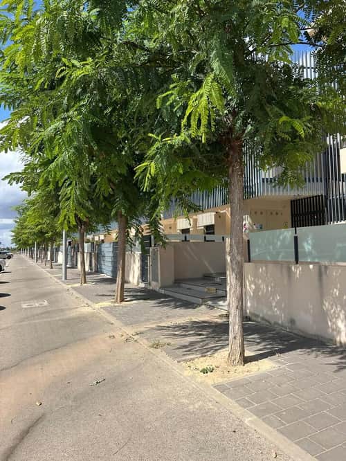 Appartement met 2 slaapkamers in Pilar de la Horadada — foto 13