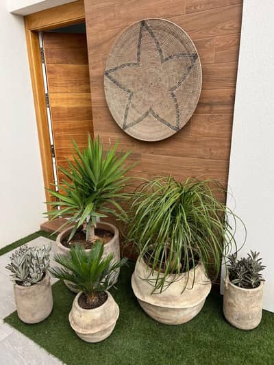 Property #TSR2562C - Image 3