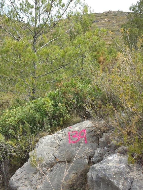 Se vende parcela en pedreguer con licencia de construccion - 42