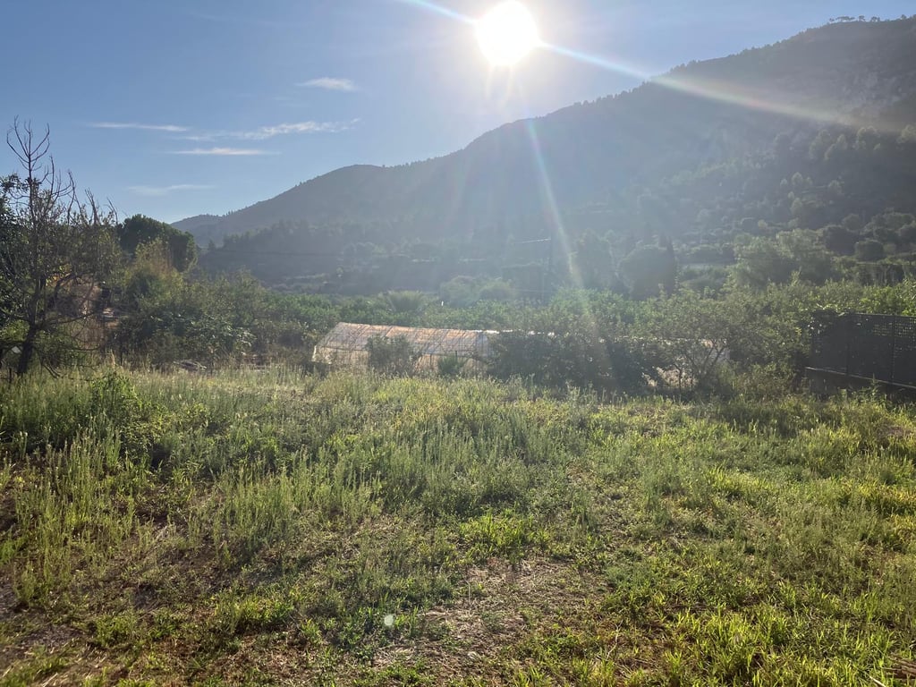 Parcela urbana con una construcción en su perimetro en La Llosa de Camacho - 9