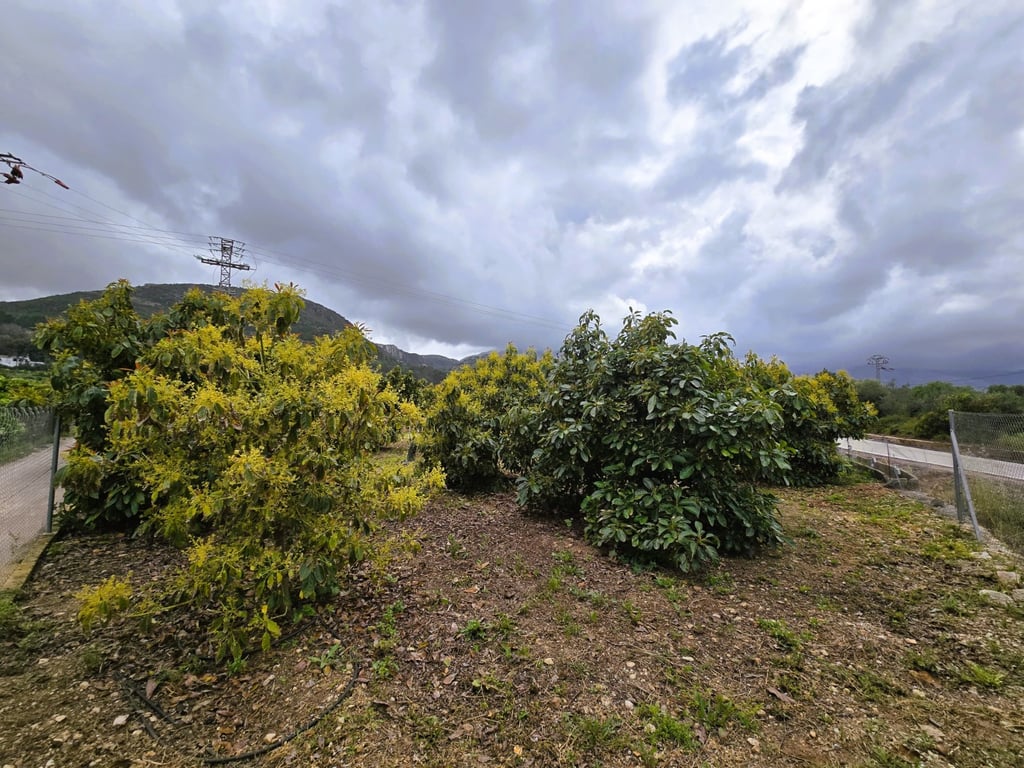 Property #RH20383 - 2