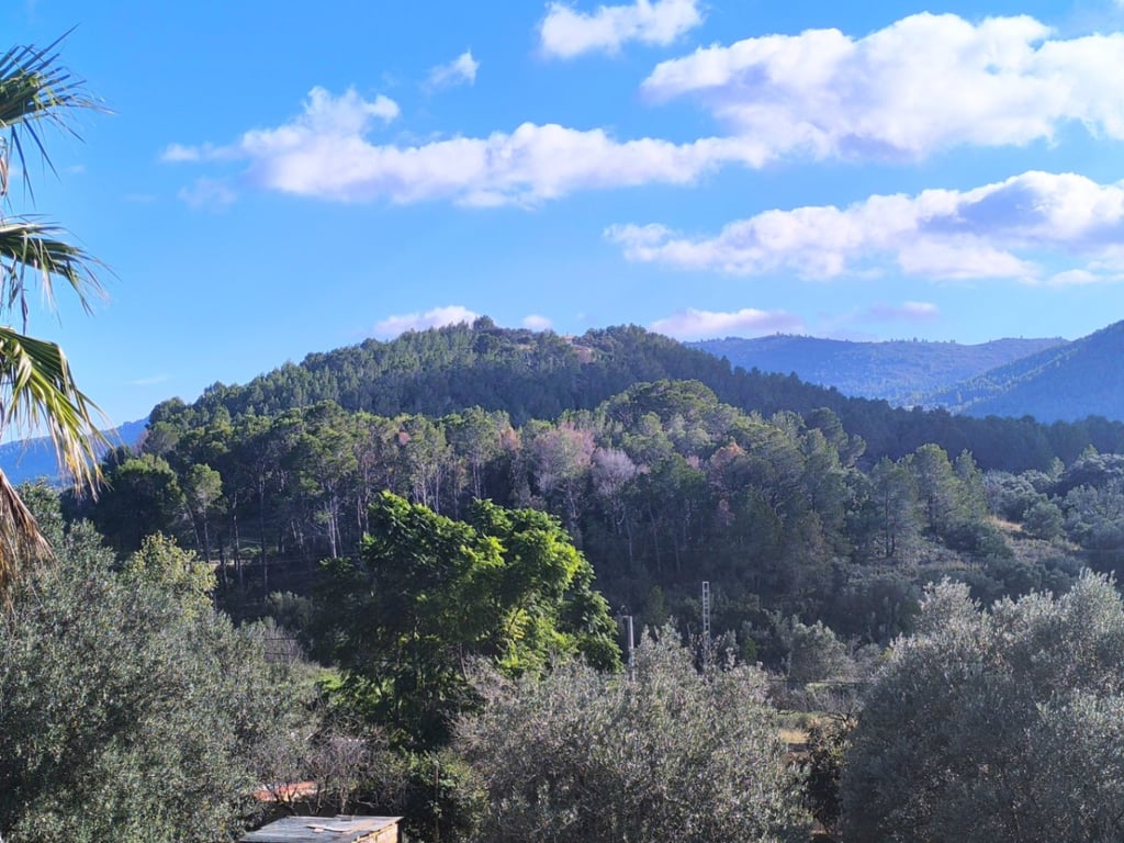 Casa en venda a Parcent amb gran parcel·la urbana i vistes panoràmiques - 5