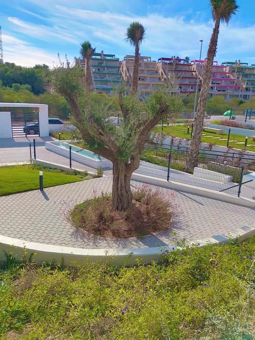 Appartement met 2 slaapkamers in Villamartín — foto 23