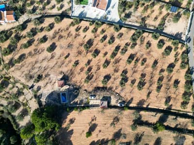 Property #TSR3540C - Image 3