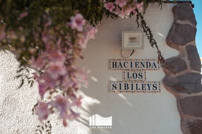 Property #TSR2953C - Image 3