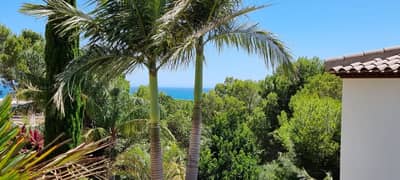 Property #TSR1365C - Image 2