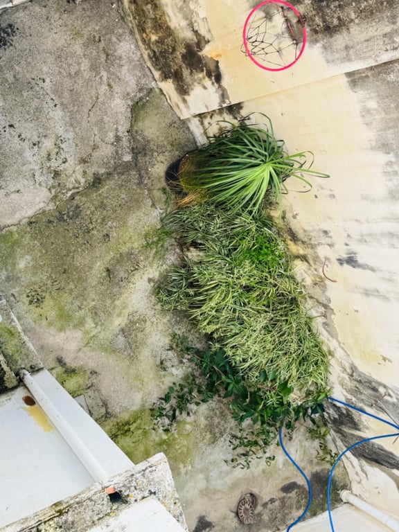 Casa de dos plantas en el centro de Orba (Alicante) - 27