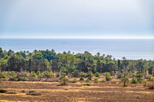 Penthouse met 2 slaapkamers in Punta Prima — foto 23