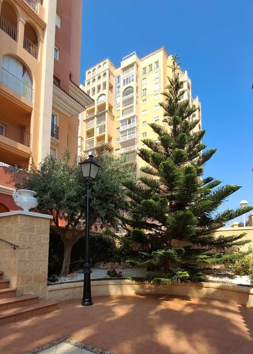 Appartement met 3 slaapkamers in Torrevieja — foto 22
