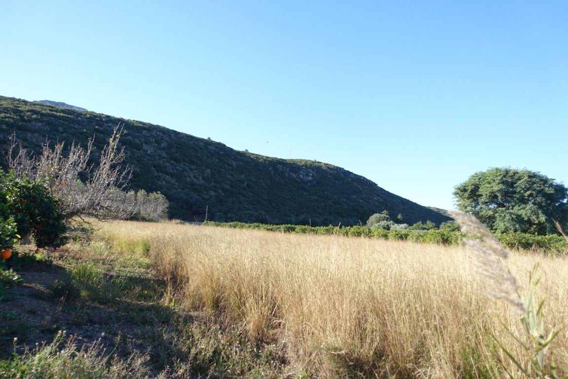 Parcela en Els Verger - 5