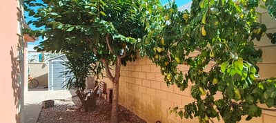 Property #TSR2058C - Image 5