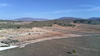 Property #TSR3594C - Image 2