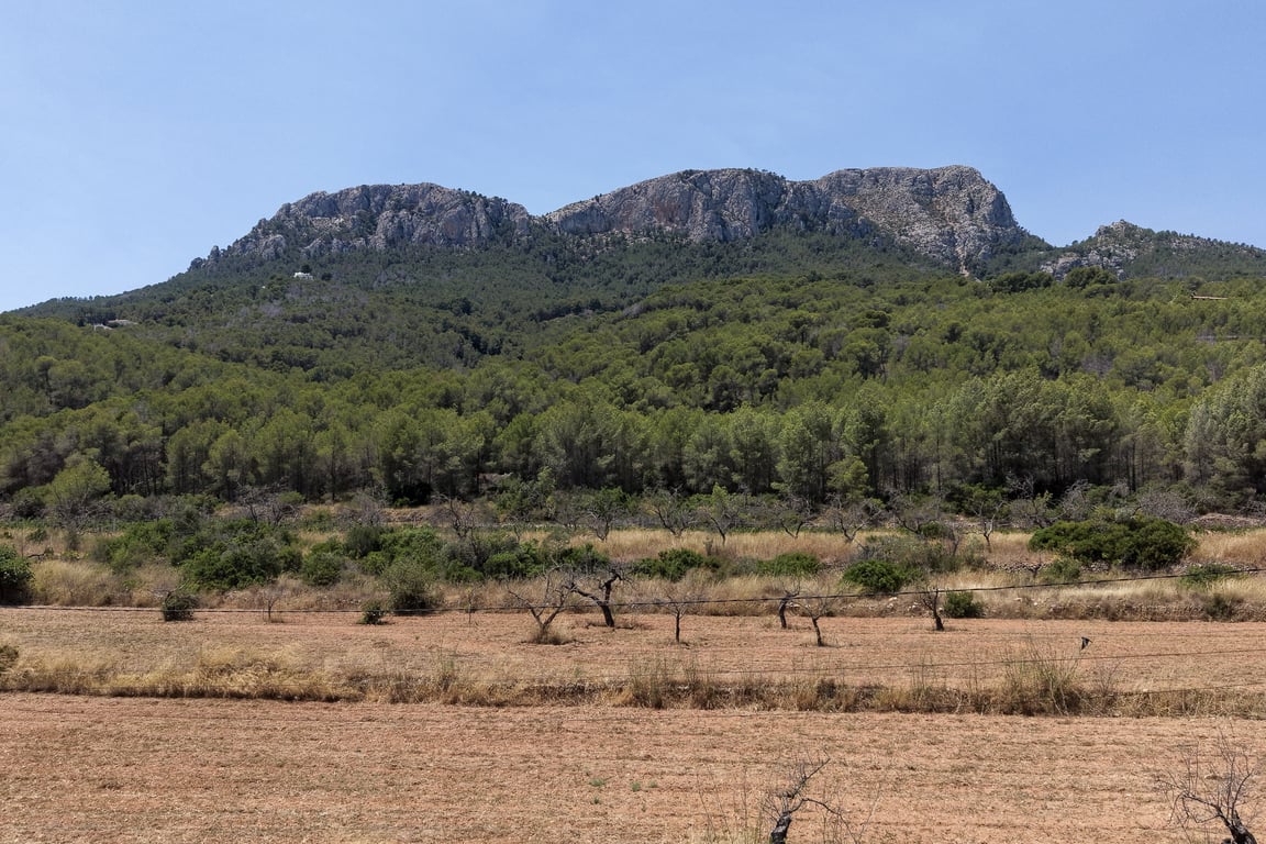 4-bed Villa in Benissa photo 15