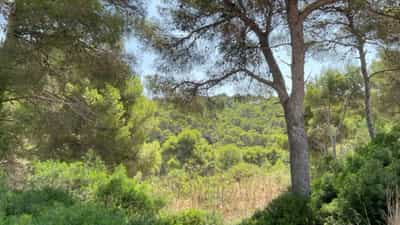 Property #AD 222 2