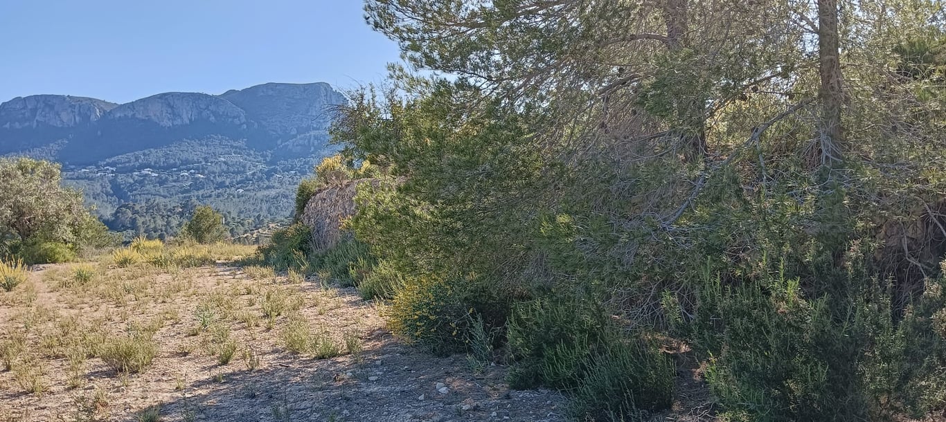 Terreno en Benissa