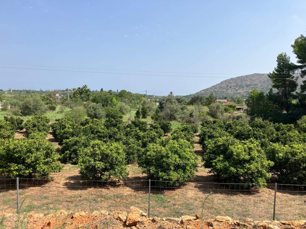 Casa de campo para reformar - 6