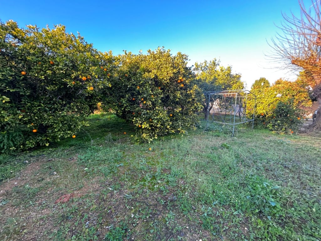Xalet de camp a la venda a Pedreguer amb piscina i jardí - 4 hab - 7