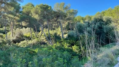 Property #AD 251 - Image 2