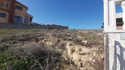 Property #TSR3296C - Image 4