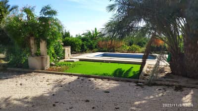 Property #TSR3409C - Image 2